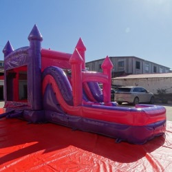 13af4388 39c6 4184 8d82 dd9ab4665be6 1764513374 Pink Combo Dual Lane Wet/Dry