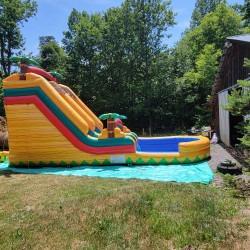 20230604 143036 1711586101 Tropical Yellow water slide