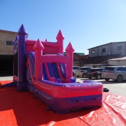 43c76b6b 16b9 4d0c 96ea 3462c36cadda 1764513374 1 Pink Combo Dual Lane Wet/Dry