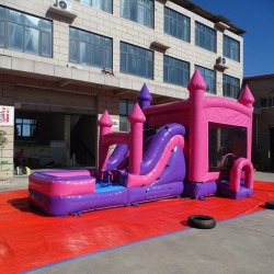 5437b0cd fa2a 4ade 8611 5c80f1e2c1e3 1764513374 Pink Combo Dual Lane Wet/Dry