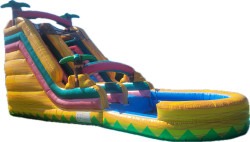 Tropical Yellow water  slide