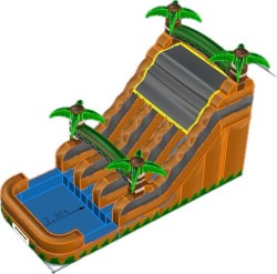 Double line palm trees water slide whit nice pool