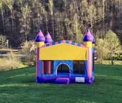 FB IMG 1712777725974 1712778331 Pink Castle Bounce House