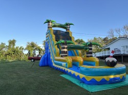 IMG 3722 1765325568 1 Coconut water slide 24Hx36L