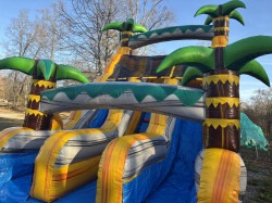 IMG 4364 1766954638 Big yellow Double line palm trees water slide with big nice pool