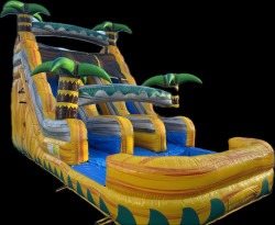 Big yellow Double line palm trees water slide with big  nice pool
